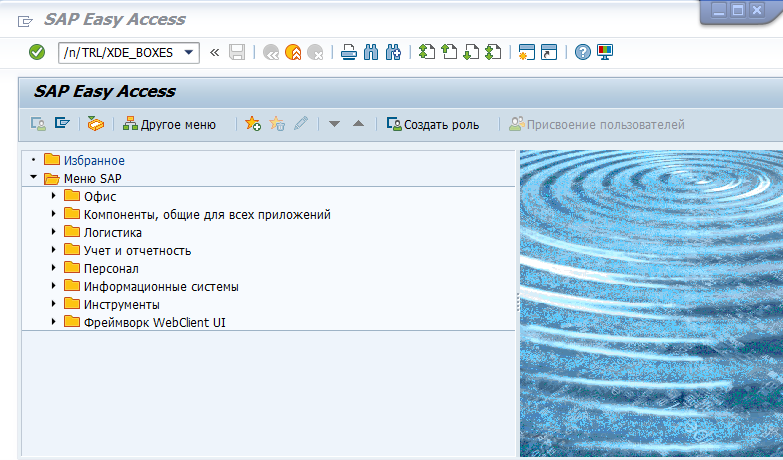 Запуск транзакции ``/TRL/XDE_BOXES``